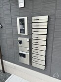 すみれそう