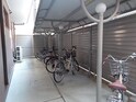 グランツ錦