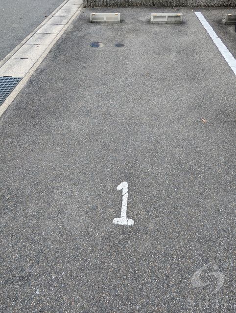 レオネクスト宇多野