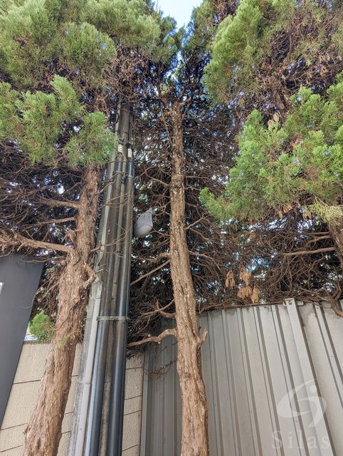 メゾンドカルム