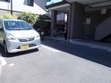 アライブ　キノ　Ⅱ