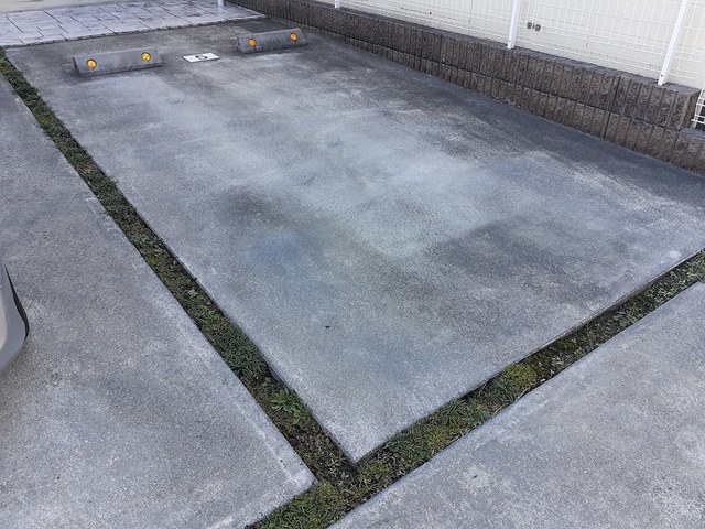ステイシー久我
