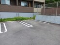 キャメルチュイール