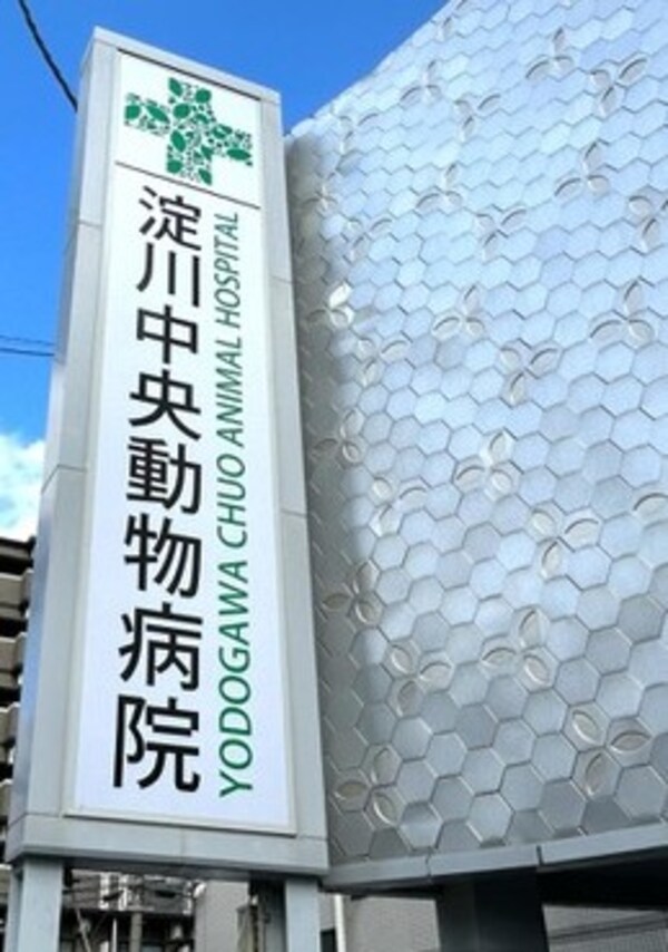 周辺環境(淀川中央動物病院 936m)