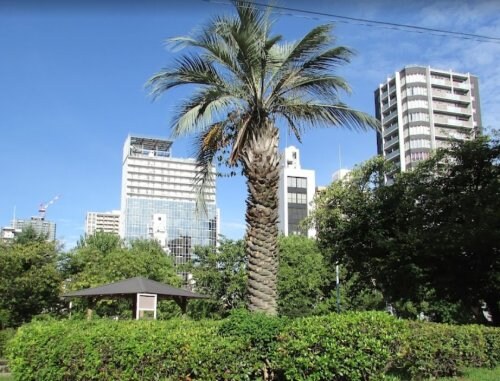 物件内観写真29　(中大江公園 227m)