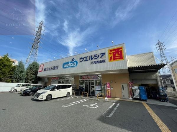 周辺環境(ウエルシア八尾青山店 1411m)