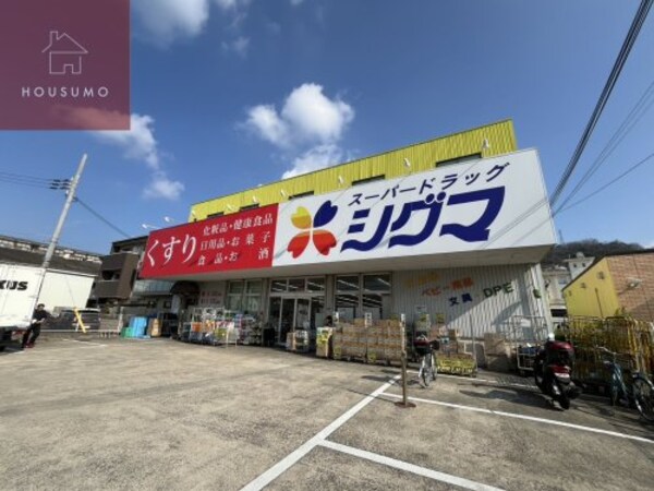 周辺環境(スーパードラッグシグマ　柏原大県店 608m)