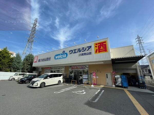 周辺環境(ウエルシア八尾青山店 222m)