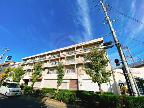 外観(外観も気になるポイント)