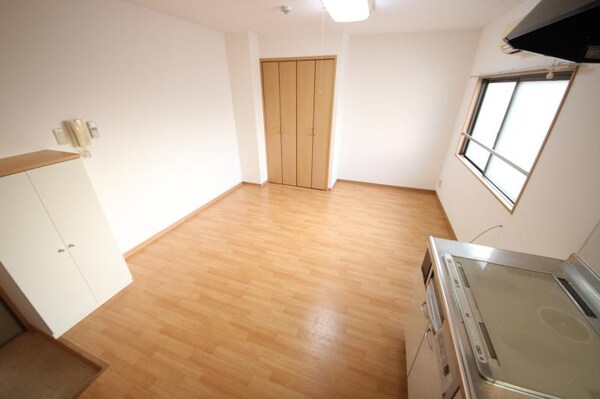 洋室(収納もある玄関です)