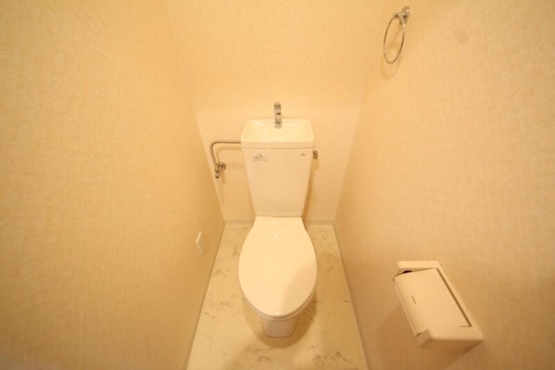 物件内観写真10　(落ち着いた色調のトイレです)