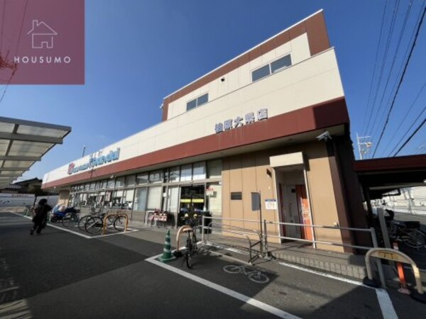 周辺環境(万代　柏原大県店 800m)