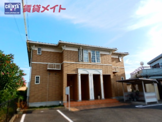 紫苑