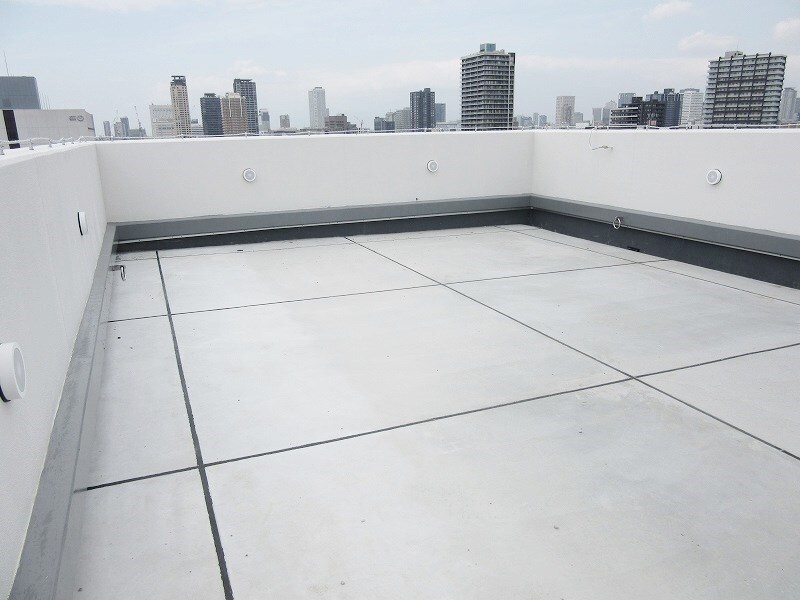 物件内観写真16　(ドックラン)