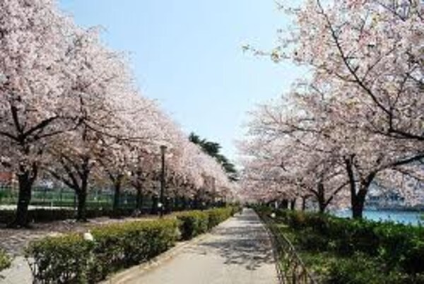 周辺環境(南天満公園（615m）)
