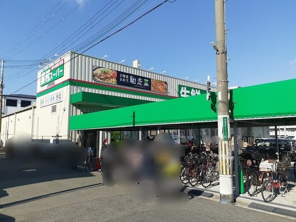 周辺環境(業務スーパーJR堺市駅店まで160m)
