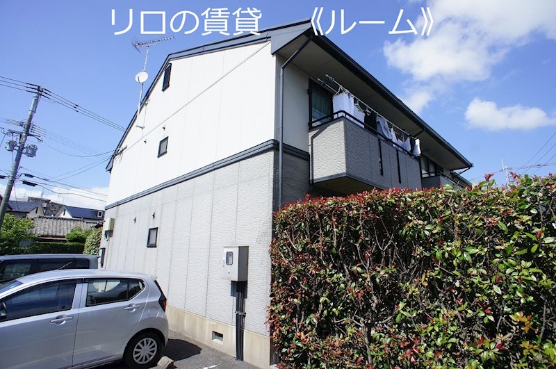 ハイカムール門松