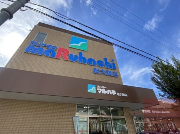 周辺環境(スーパーマルハチ 新大阪店 846m)