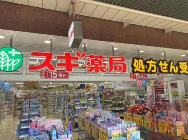 周辺環境(スギ薬局 木川東店 860m)