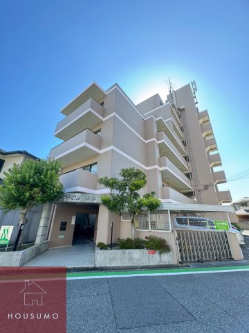 シュシュ