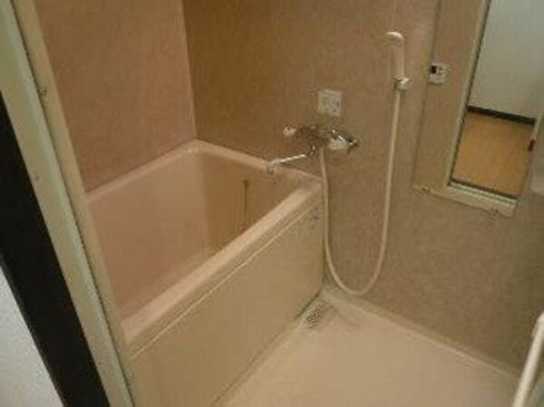 浴室(☆スペシャリストなプロ賃貸師が接客対応させていただきます☆)