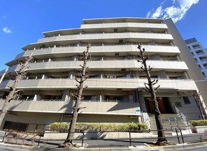グレイスコート志村三丁目外観写真