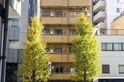 オレアビルディング