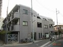 テラスデイジィ
