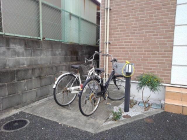 プリムローズ
