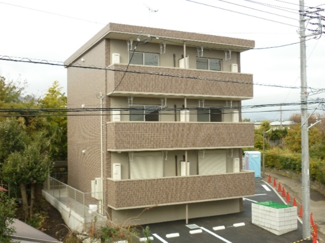 シンシア・M