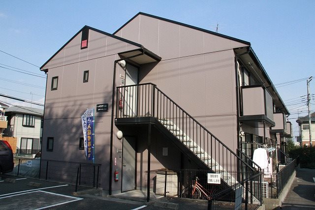 パラダイス