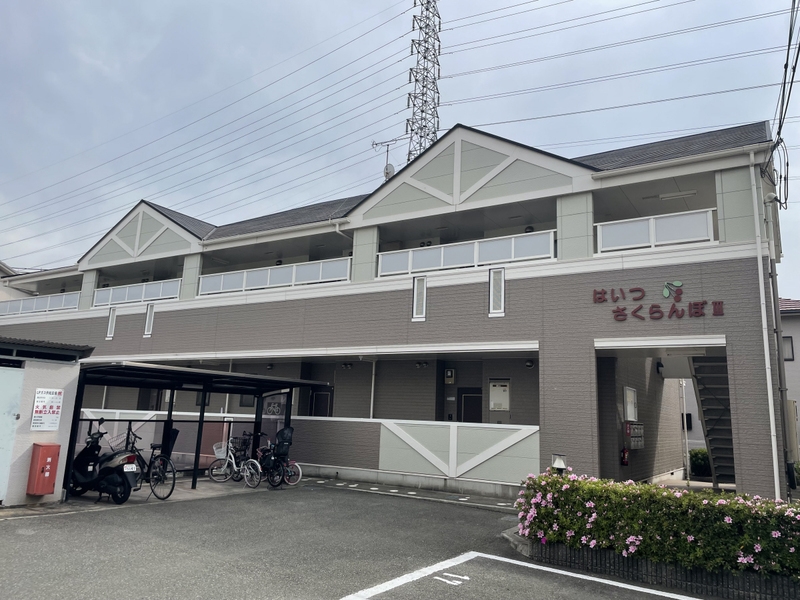 はいつさくらんぼⅢ
