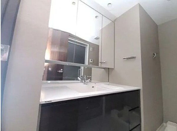 洗面・脱衣所(別号室参考写真)