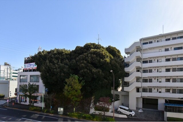 物件内観写真11　