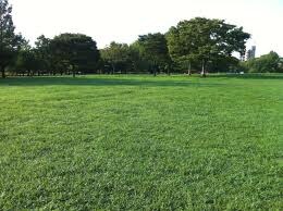 物件外観写真6　(郷口公園（876m）)