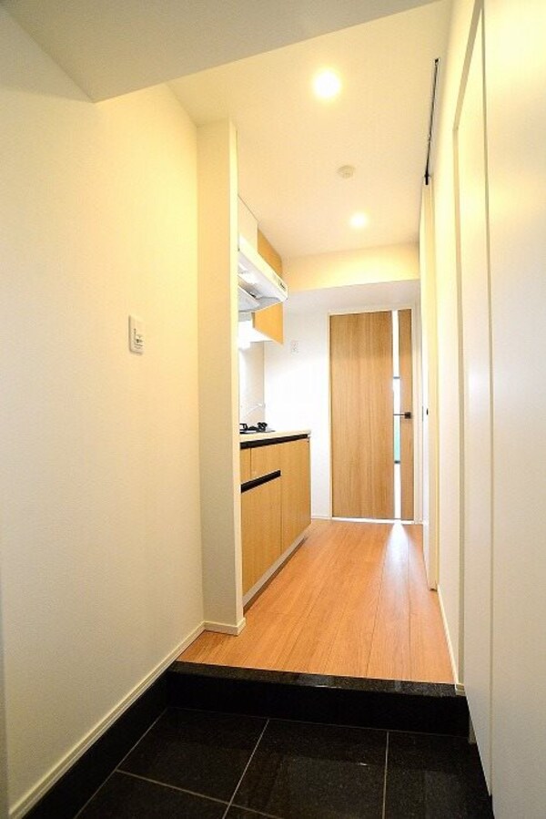 玄関(※カラータイプ異なります)