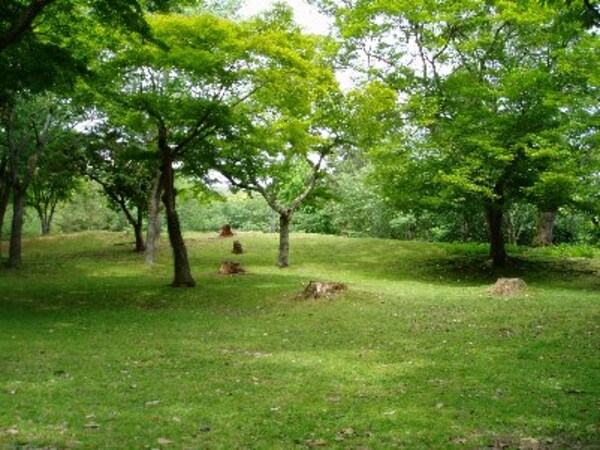 周辺環境(平尾山荘1号緑地（1016m）)