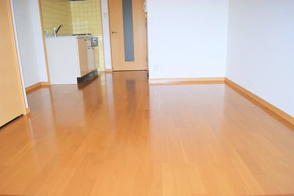 物件内観写真3　(リビング)