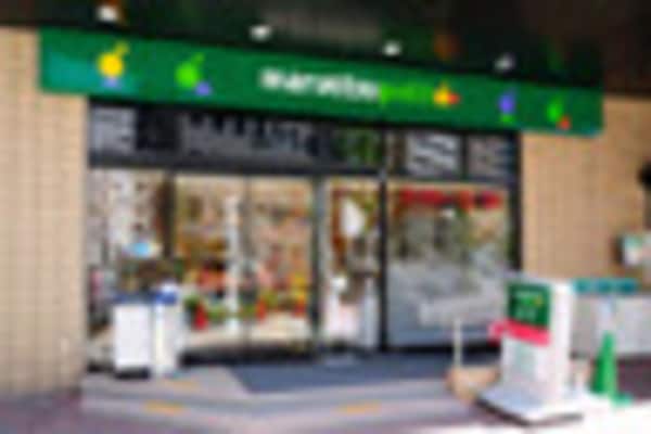 周辺環境(三菱東京UFJ銀行新富町支店 658m)