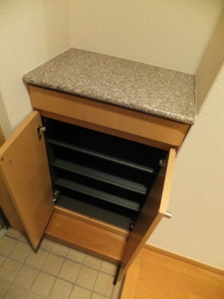 物件内観写真16　(シューズボックス付)