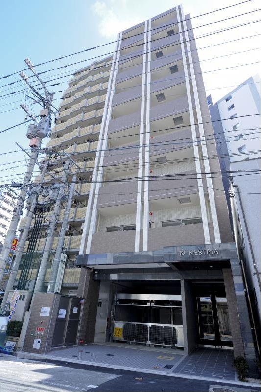 ネストピア県庁前