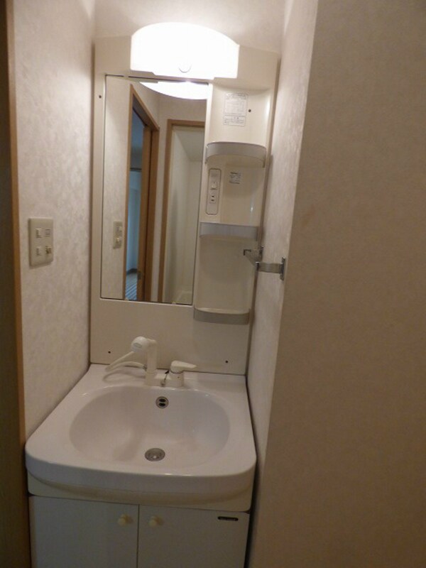 洗面・脱衣所(忙しい朝に便利なシャンプードレッサー)