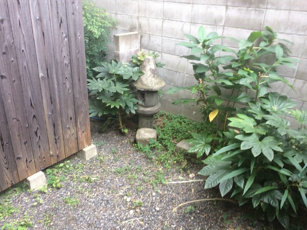 庭