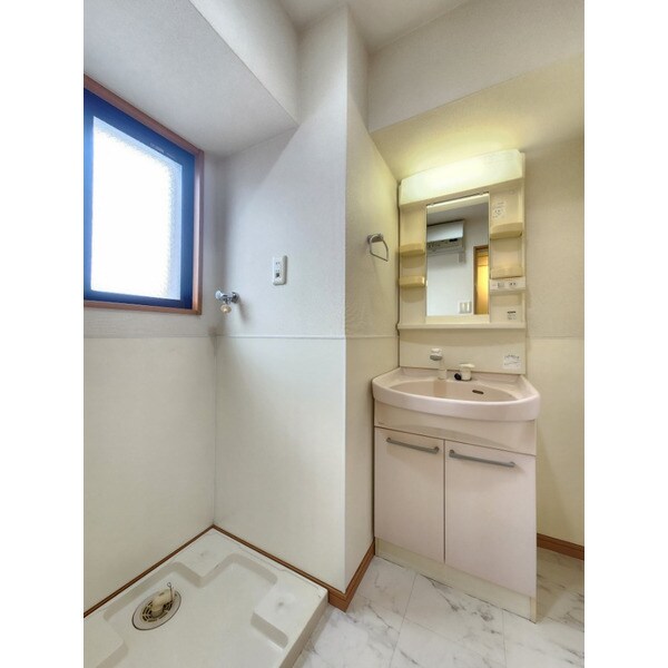 物件内観写真9　(シャンプードレッサー)