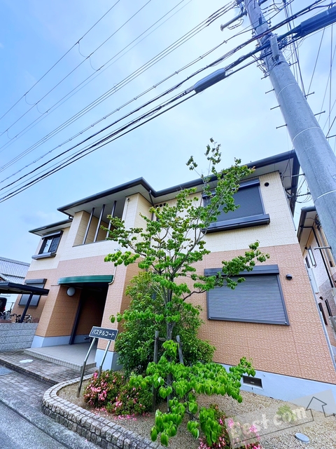 パステルコートB