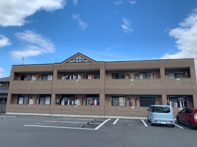 ダンデライオン
