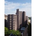 ダイアパレス赤坂けやき通り