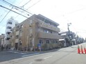 ハイムマモリ