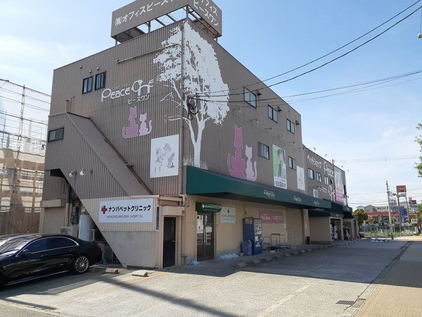 周辺環境(ペットランドピースワン東住吉店まで300m)