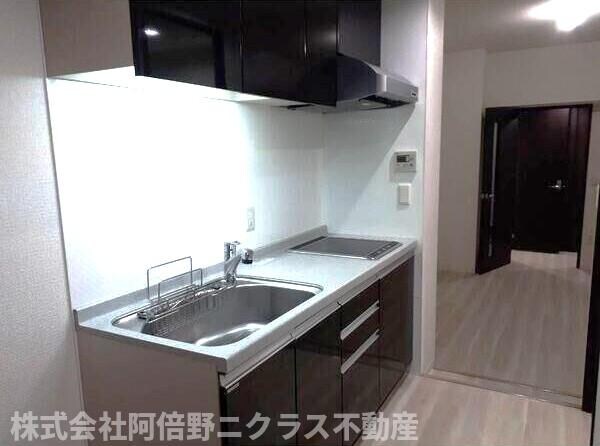 キッチン(内装は別部屋の参考写真です。)